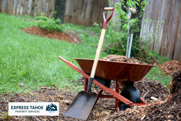 Lake Tahoe seasonal yard clean-up